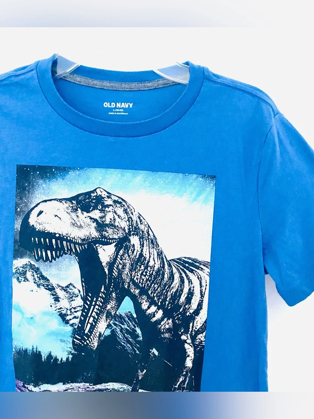 👍🏽Old Navy Boys “Dinosaur” Graphic T-Shirt SZ L (Y)